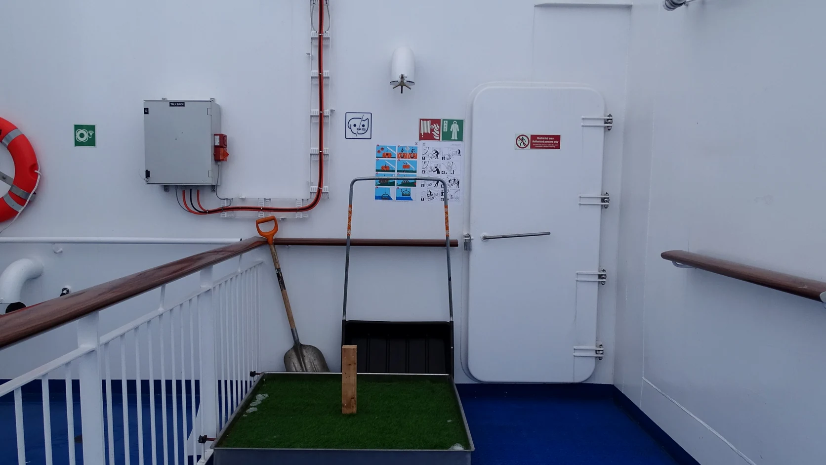 Speciale voorzieningen voor huisdieren aan boord van Aurora Botnia